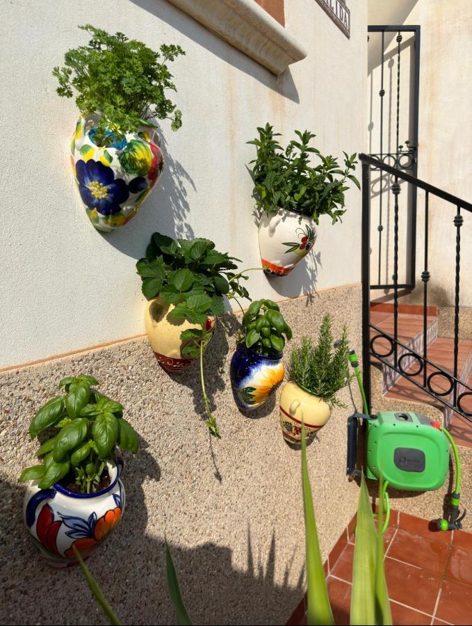 Apartament 021 Casa Calida - Orihuela Costa Punta Prima  Zewnętrze zdjęcie